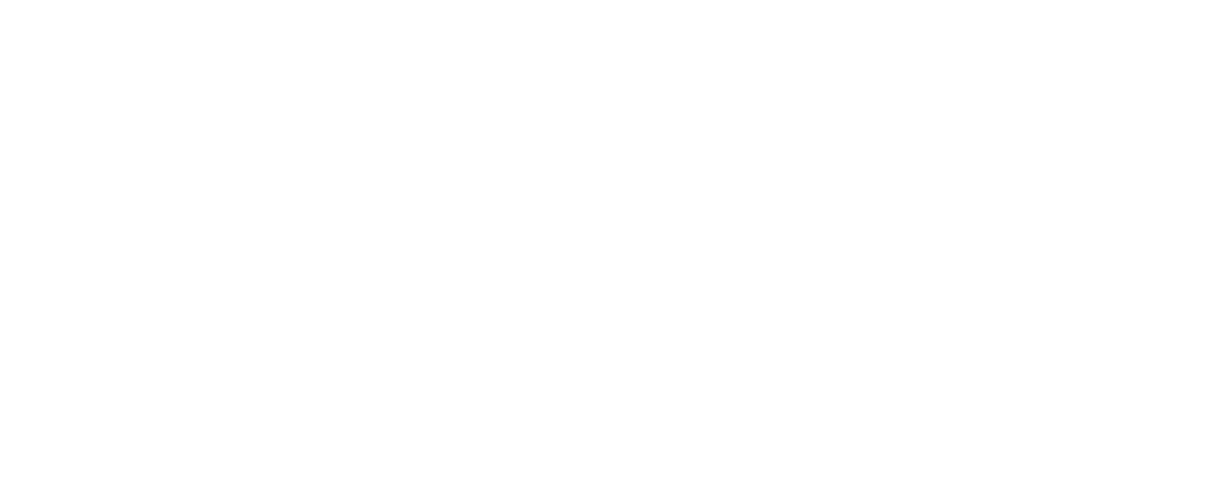 YCN_logo_white